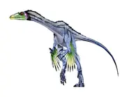 Protarchaeopteryx