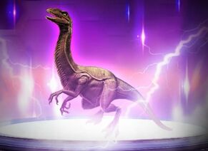 Ophiacomimus.jpg