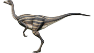 StruSavannah render