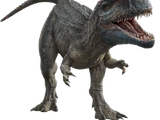 Allosaurus