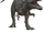Allosaurus