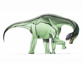 JPI Camarasaurus