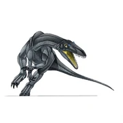 Halticosaurus