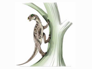 Heterodontosaurus