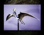 Pteranodonmodel