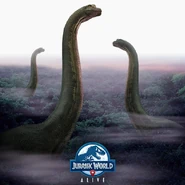 Brachiosaurus Migration JWA.jpg (64 KB)