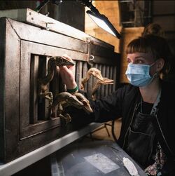 Compsognathus in Cage JW- Dominion BTS.jpeg