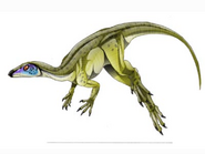 Leaellynasaura