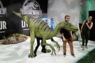 Jurassic-World-Live-Troodon