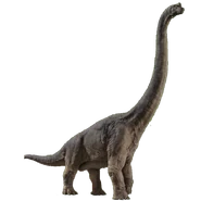 Brachiosaurus