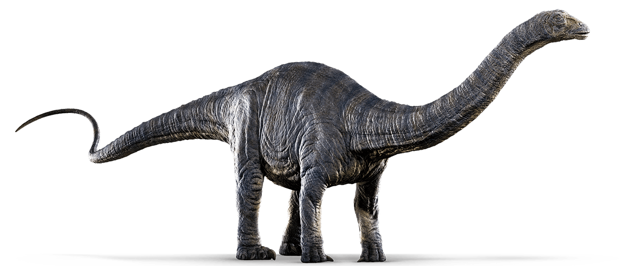 上品 アパトサウルス | ジュラシック・パーク Wiki | Fandom その他