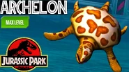 Архелон-0.jpg (136 КБ)