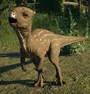 Homalocephale Jurassic World Evolution 2.webp (540 kio)