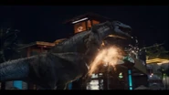 T. rex smashing Indominus rex into the Margaritaville