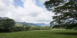 Isla-nublar-valley.jpg