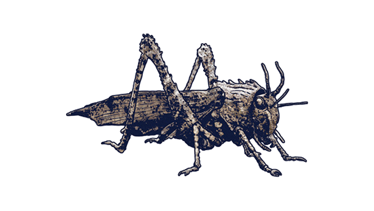 Lego jurassic cheap world bug