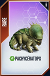 Pachyceratops