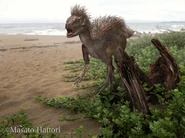 Pegomastax africana 20121014 3.jpg (933 KB)