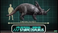 Styracosaurus in Jurassic Park: Explorer