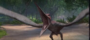 Pteranodon (Season 1, 2, 3, 4 and 5)