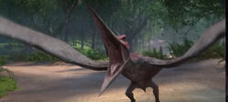 Pteranodonte, Jurassic Park Wiki