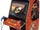 Jurassic Park III (arcade game)