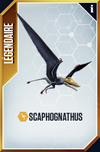 Scaphognathus (The Game).png