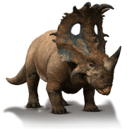 Sinoceratops