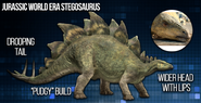 Stegosaurus 73143799 972456806424282 2310421019149467648 n-768x393