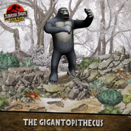 The Gigantopithecus