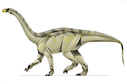 Euskelosaurus