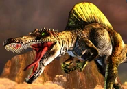 DE0B29A6-9CEC-4BC9-9040-A57DEECC4ACF.jpeg (480 KB)