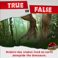 True or False snakes lived alongside the dinosaurs