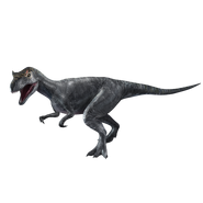 Allosaurus2