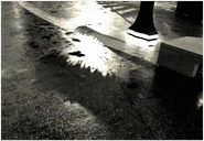 JW Nights.jpeg (124 KB) Nights.