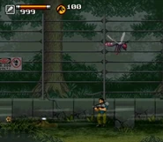 Wasp jp.jpg (138 kB)