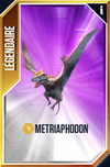 Metriaphodon