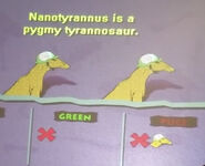Nanotyrannus mentioned in YBJ at IOA