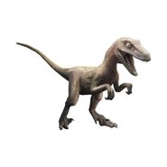 Utahraptor-jurassic-world-the-game