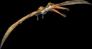 Cearadactylus2.jpg