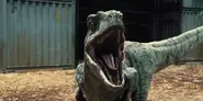Jurassic-World-Velociraptors-7.webp (66 kio)