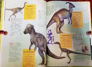 Gallimimus, Pachycephalosaurus, Parasaurolophus, Compsognathus profiles.