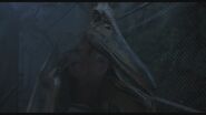 Pteranodon