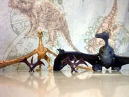 Pterohippocratesi.jpg (138 kB)