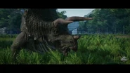 22221485 1961462477427862 3378383955855483040 n.jpg (47 KB) Triceratops in Jurassic World: Evolution
