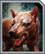 AmphicyonProfile.jpg (66 KB)