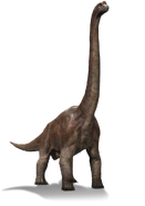 Brachiosaurus