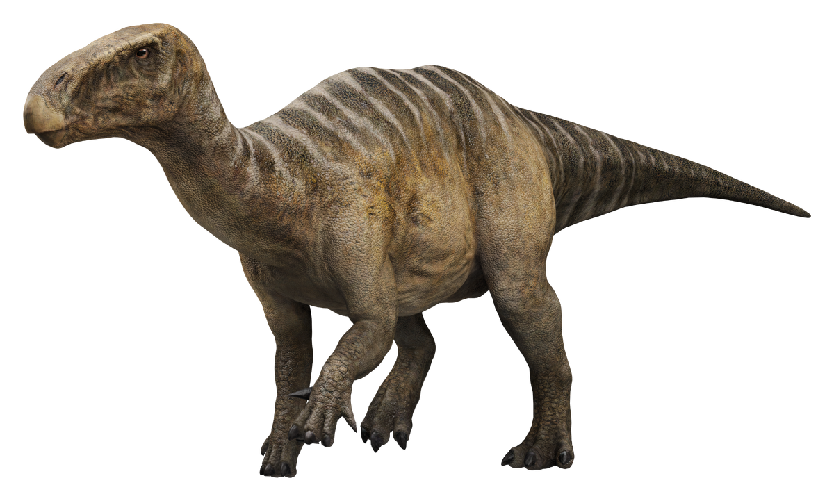 Iguanodon | Jurassic Park Wiki | Fandom