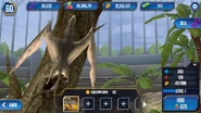 Level 1 Dimorphodon being fed