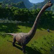 BrachJWEBrachiosaurus